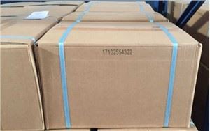 Askorbinska kislina (vitamin C)